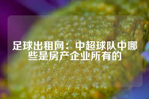 足球出租网：中超球队中哪些是房产企业所有的