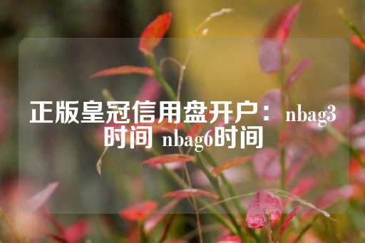 正版皇冠信用盘开户：nbag3时间 nbag6时间-第1张图片-皇冠信用盘出租