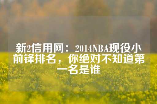 新2信用网：2014NBA现役小前锋排名，你绝对不知道第一名是谁