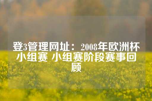 登3管理网址：2008年欧洲杯小组赛 小组赛阶段赛事回顾