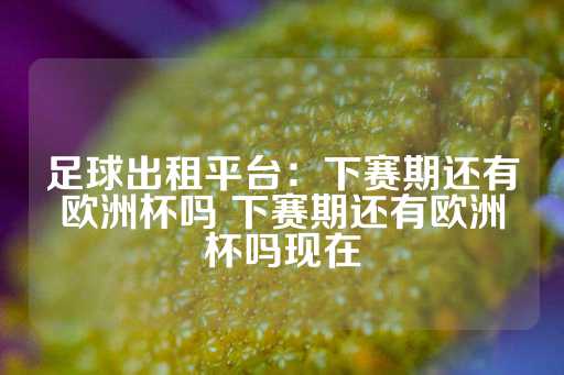 足球出租平台：下赛期还有欧洲杯吗 下赛期还有欧洲杯吗现在