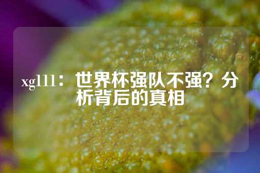 xg111：世界杯强队不强？分析背后的真相