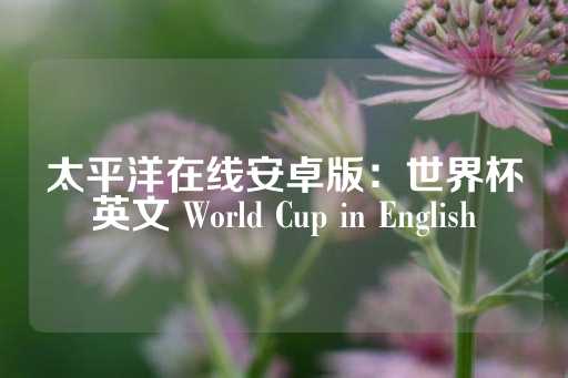 太平洋在线安卓版：世界杯英文 World Cup in English