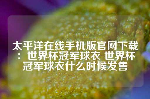 太平洋在线手机版官网下载：世界杯冠军球衣 世界杯冠军球衣什么时候发售