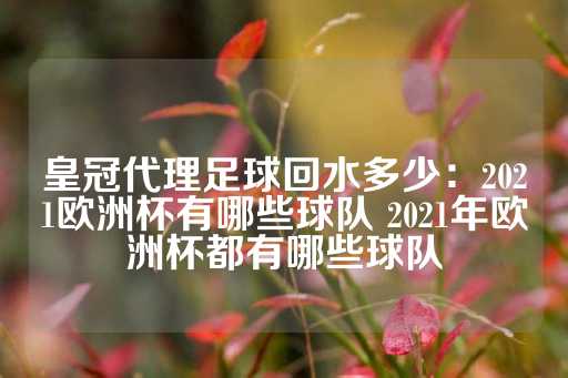 皇冠代理足球回水多少：2021欧洲杯有哪些球队 2021年欧洲杯都有哪些球队-第1张图片-皇冠信用盘出租