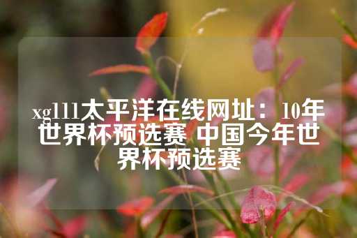 xg111太平洋在线网址：10年世界杯预选赛 中国今年世界杯预选赛