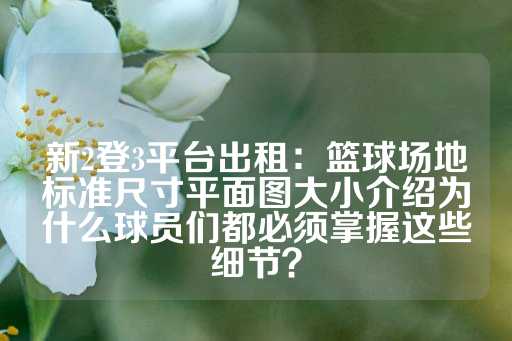 新2登3平台出租：篮球场地标准尺寸平面图大小介绍为什么球员们都必须掌握这些细节？