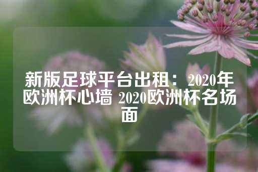 新版足球平台出租：2020年欧洲杯心墙 2020欧洲杯名场面