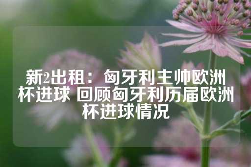 新2出租：匈牙利主帅欧洲杯进球 回顾匈牙利历届欧洲杯进球情况-第1张图片-皇冠信用盘出租