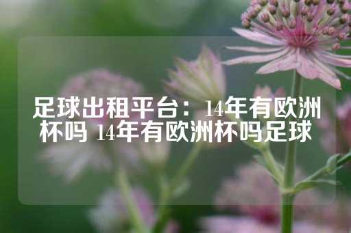 足球出租平台：14年有欧洲杯吗 14年有欧洲杯吗足球-第1张图片-皇冠信用盘出租