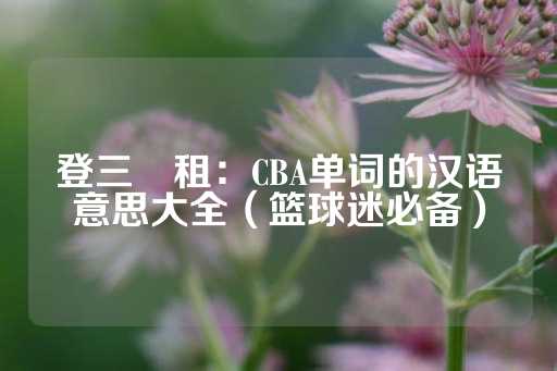 登三岀租：CBA单词的汉语意思大全（篮球迷必备）