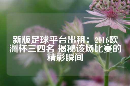 新版足球平台出租：2016欧洲杯三四名 揭秘该场比赛的精彩瞬间