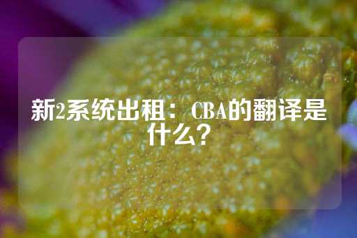 新2系统出租：CBA的翻译是什么？