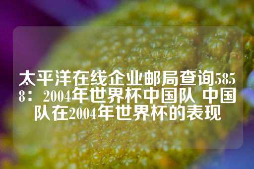 太平洋在线企业邮局查询5858：2004年世界杯中国队 中国队在2004年世界杯的表现