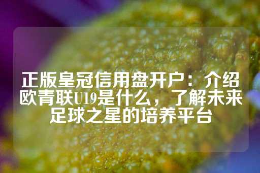 正版皇冠信用盘开户：介绍欧青联U19是什么，了解未来足球之星的培养平台-第1张图片-皇冠信用盘出租