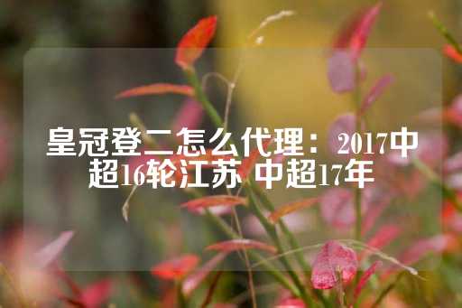 皇冠登二怎么代理：2017中超16轮江苏 中超17年-第1张图片-皇冠信用盘出租