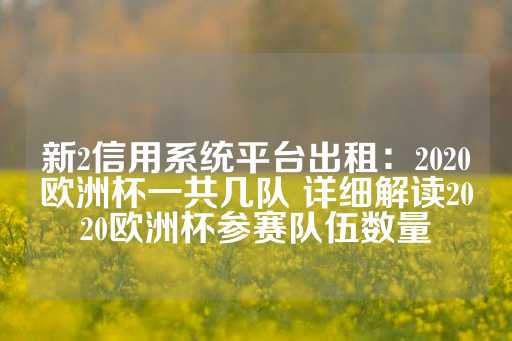 新2信用系统平台出租：2020欧洲杯一共几队 详细解读2020欧洲杯参赛队伍数量