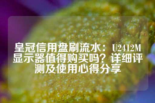 皇冠信用盘刷流水：U2412M显示器值得购买吗？详细评测及使用心得分享-第1张图片-皇冠信用盘出租