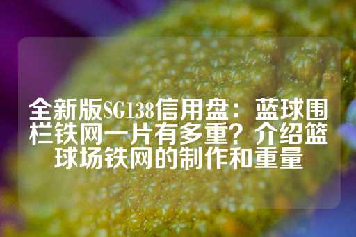 全新版SG138信用盘：蓝球围栏铁网一片有多重？介绍篮球场铁网的制作和重量-第1张图片-皇冠信用盘出租