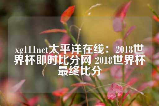 xg111net太平洋在线：2018世界杯即时比分网 2018世界杯最终比分