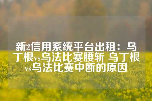 新2信用系统平台出租：乌丁根vs乌法比赛腰斩 乌丁根vs乌法比赛中断的原因