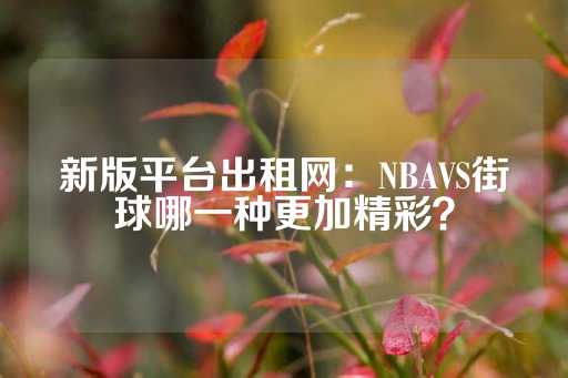 新版平台出租网：NBAVS街球哪一种更加精彩？