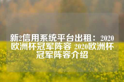 新2信用系统平台出租：2020欧洲杯冠军阵容 2020欧洲杯冠军阵容介绍