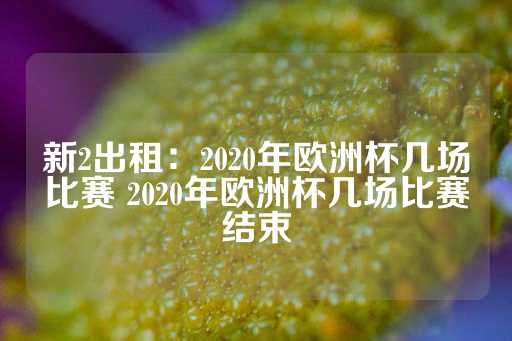 新2出租：2020年欧洲杯几场比赛 2020年欧洲杯几场比赛结束