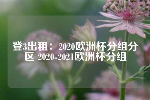 登3出租：2020欧洲杯分组分区 2020-2021欧洲杯分组