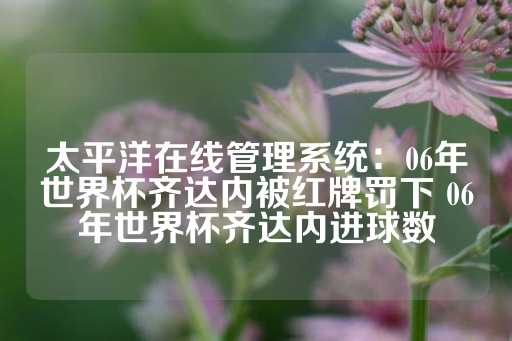 太平洋在线管理系统：06年世界杯齐达内被红牌罚下 06年世界杯齐达内进球数-第1张图片-皇冠信用盘出租