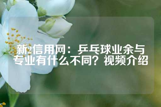 新2信用网：乒乓球业余与专业有什么不同？视频介绍