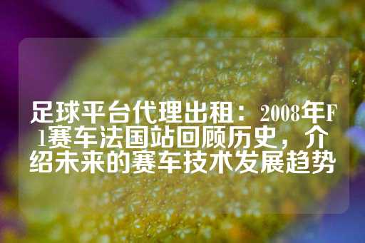 足球平台代理出租：2008年F1赛车法国站回顾历史，介绍未来的赛车技术发展趋势-第1张图片-皇冠信用盘出租