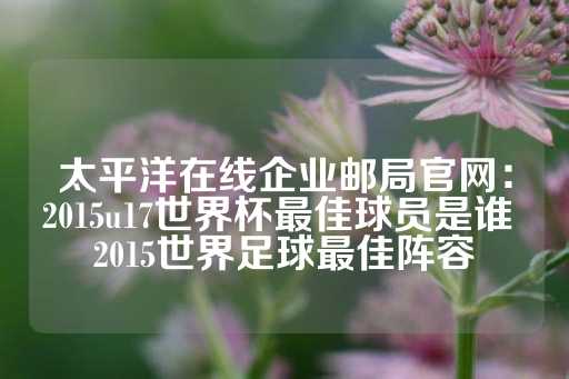 太平洋在线企业邮局官网：2015u17世界杯最佳球员是谁 2015世界足球最佳阵容-第1张图片-皇冠信用盘出租