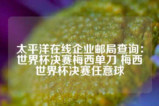 太平洋在线企业邮局查询：世界杯决赛梅西单刀 梅西世界杯决赛任意球