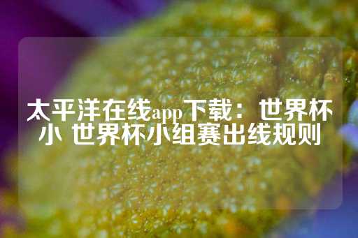 太平洋在线app下载：世界杯小 世界杯小组赛出线规则-第1张图片-皇冠信用盘出租