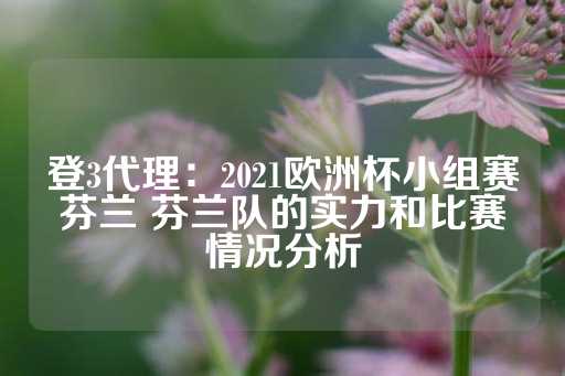 登3代理：2021欧洲杯小组赛芬兰 芬兰队的实力和比赛情况分析-第1张图片-皇冠信用盘出租