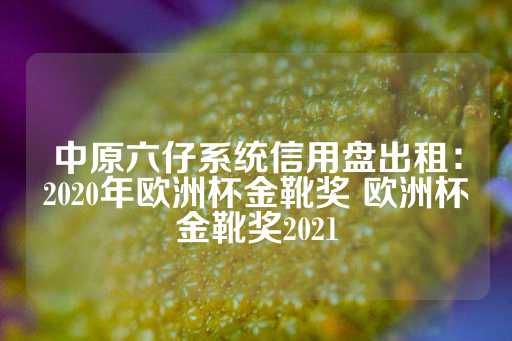 中原六仔系统信用盘出租：2020年欧洲杯金靴奖 欧洲杯金靴奖2021-第1张图片-皇冠信用盘出租