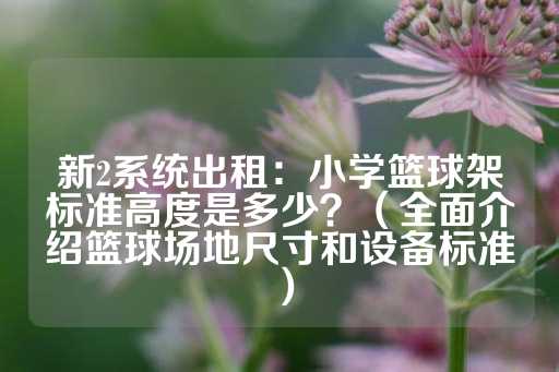 新2系统出租：小学篮球架标准高度是多少？（全面介绍篮球场地尺寸和设备标准）-第1张图片-皇冠信用盘出租