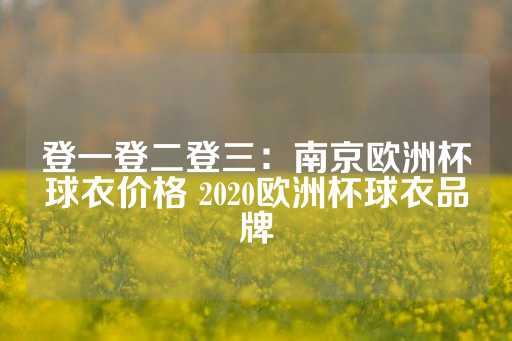 登一登二登三：南京欧洲杯球衣价格 2020欧洲杯球衣品牌