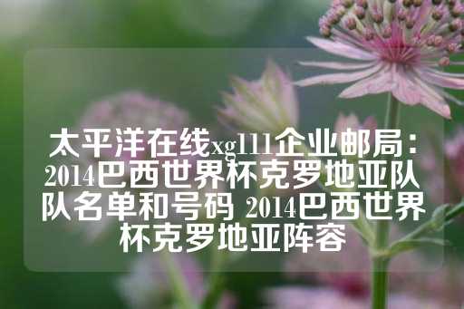 太平洋在线xg111企业邮局：2014巴西世界杯克罗地亚队队名单和号码 2014巴西世界杯克罗地亚阵容