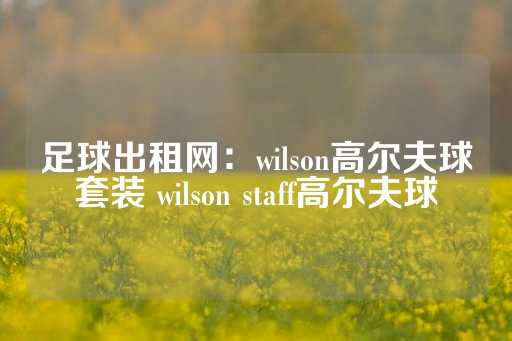 足球出租网：wilson高尔夫球套装 wilson staff高尔夫球-第1张图片-皇冠信用盘出租