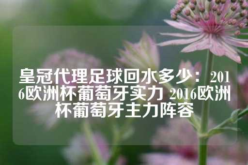 皇冠代理足球回水多少：2016欧洲杯葡萄牙实力 2016欧洲杯葡萄牙主力阵容-第1张图片-皇冠信用盘出租