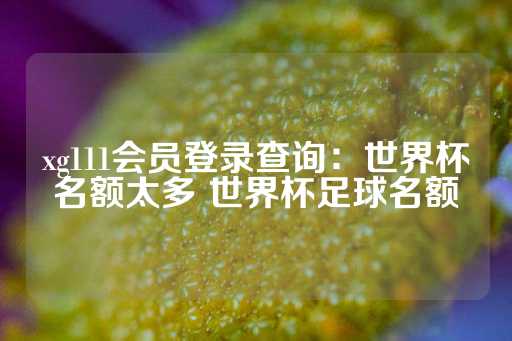 xg111会员登录查询：世界杯名额太多 世界杯足球名额-第1张图片-皇冠信用盘出租