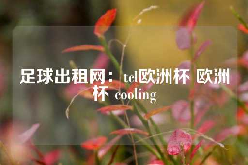 足球出租网：tcl欧洲杯 欧洲杯 cooling