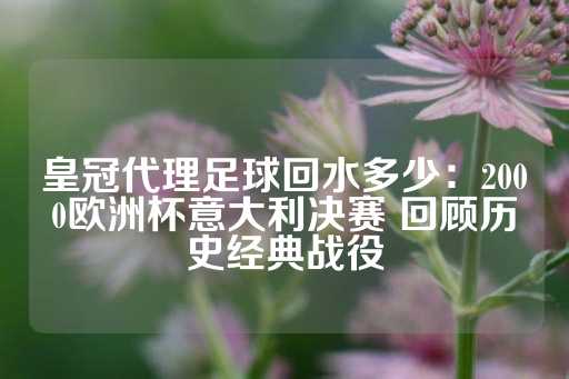 皇冠代理足球回水多少：2000欧洲杯意大利决赛 回顾历史经典战役-第1张图片-皇冠信用盘出租