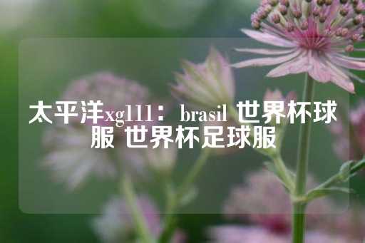 太平洋xg111：brasil 世界杯球服 世界杯足球服