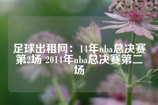 足球出租网：14年nba总决赛第2场 2014年nba总决赛第二场