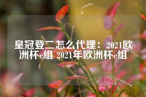 皇冠登二怎么代理：2021欧洲杯e组 2021年欧洲杯e组