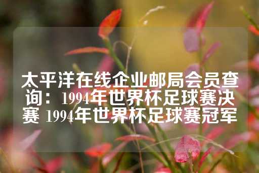 太平洋在线企业邮局会员查询：1994年世界杯足球赛决赛 1994年世界杯足球赛冠军