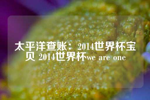 太平洋查账：2014世界杯宝贝 2014世界杯we are one